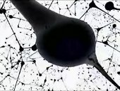 loops