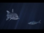 rekonstruktion/ re-animation